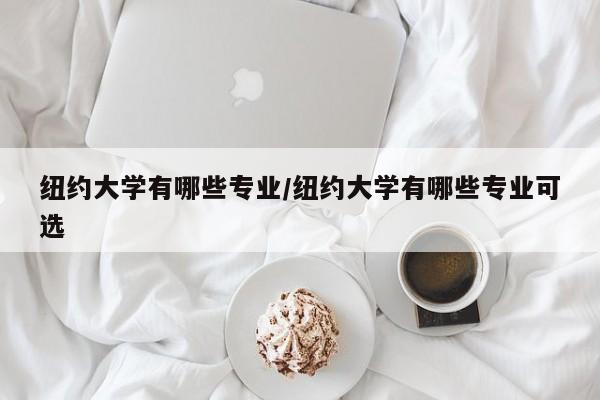 纽约大学有哪些专业/纽约大学有哪些专业可选
