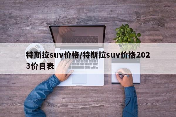 特斯拉suv价格/特斯拉suv价格2023价目表