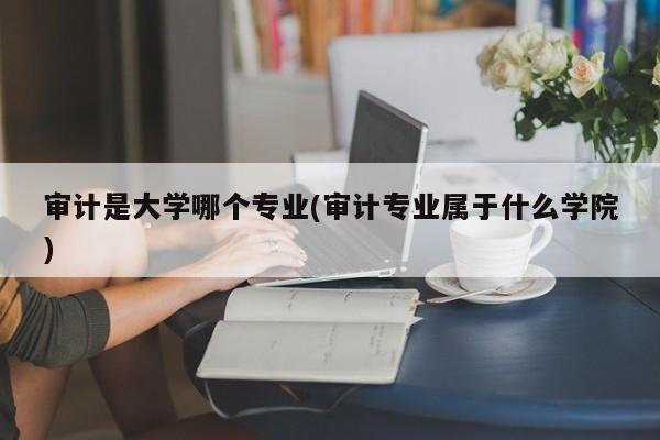 审计是大学哪个专业(审计专业属于什么学院)